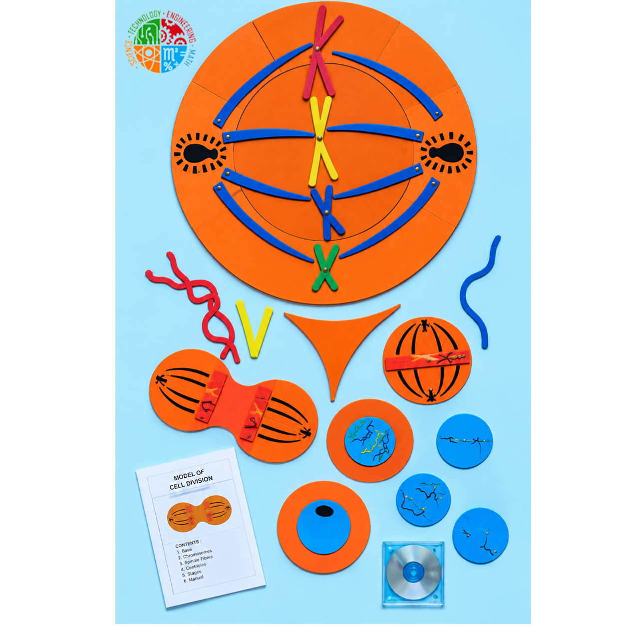 Mitosis Manipulatives Kit